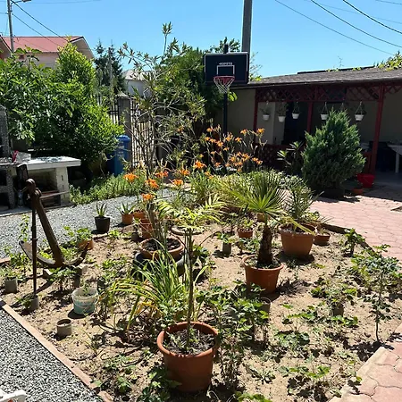Casa Vio Etaj شقة *